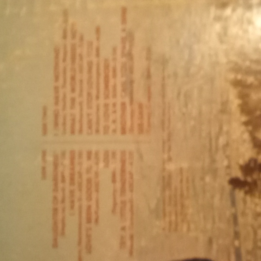 Tom Jones record. - Picture 3 of 4